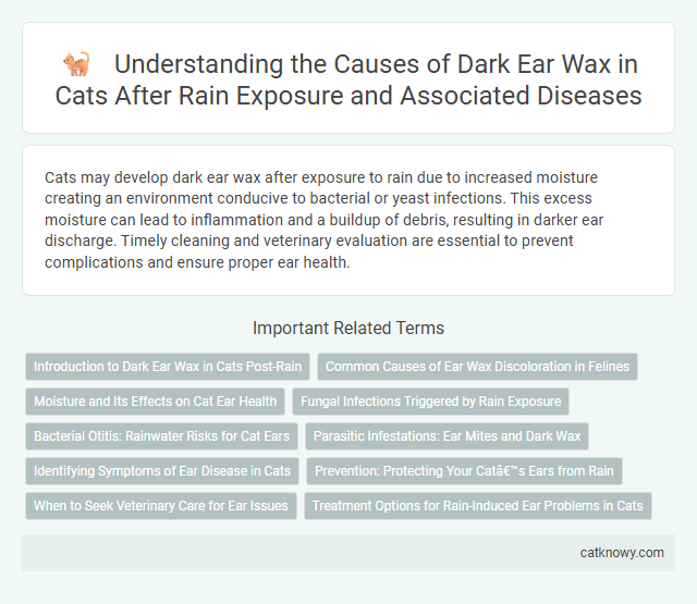 Understanding the Causes of Dark Ear Wax in Cats After Rain Exposure and Associated Diseases