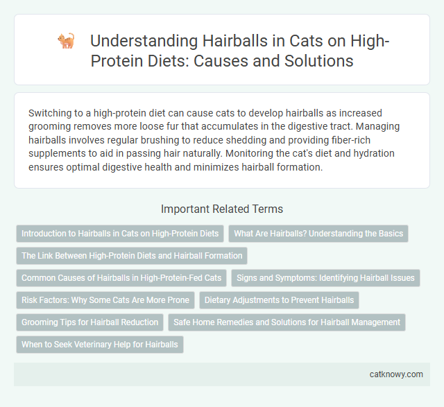 Understanding Hairballs in Cats on High-Protein Diets: Causes and Solutions