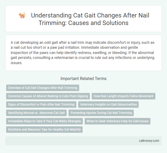 Understanding Cat Gait Changes After Nail Trimming: Causes and Solutions