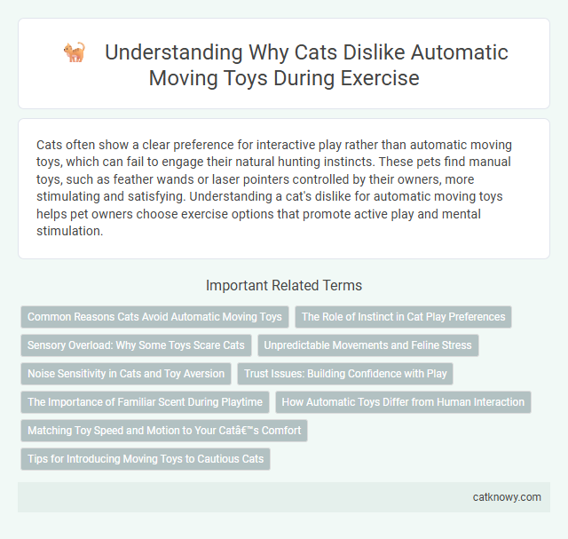 Understanding Why Cats Dislike Automatic Moving Toys During Exercise