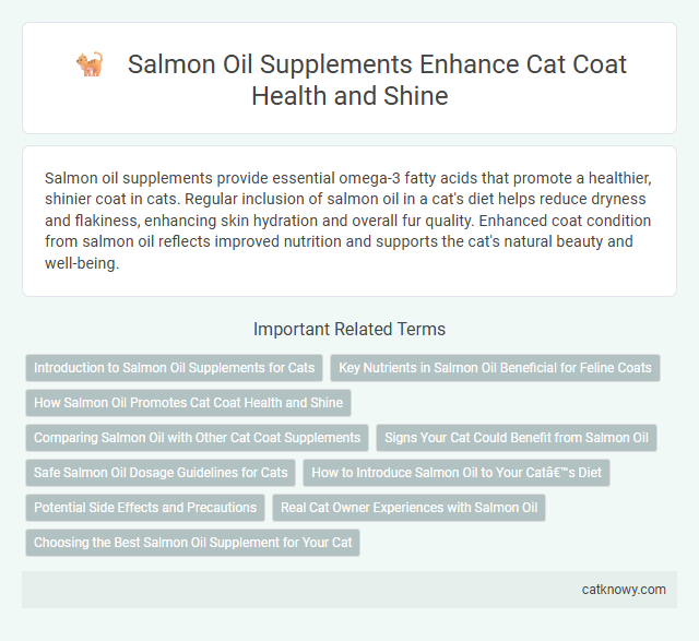 Salmon Oil Supplements Enhance Cat Coat Health and Shine