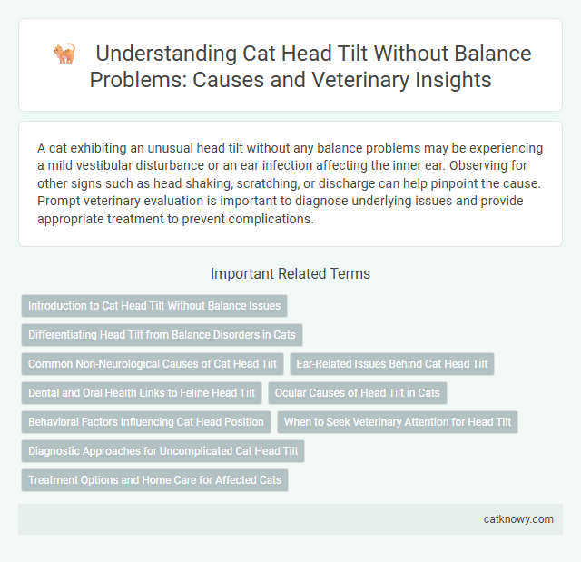 Understanding Cat Head Tilt Without Balance Problems: Causes and Veterinary Insights