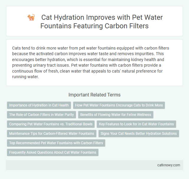 Cat Hydration Improves with Pet Water Fountains Featuring Carbon Filters