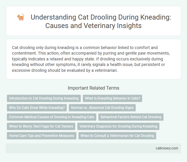 Understanding Cat Drooling During Kneading: Causes and Veterinary Insights
