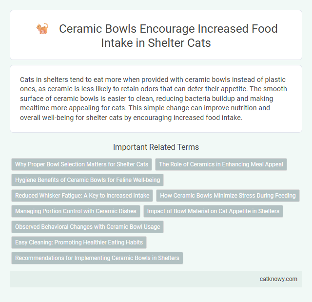 Ceramic Bowls Encourage Increased Food Intake in Shelter Cats