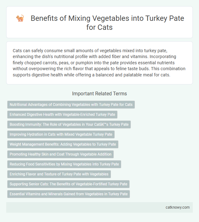 Benefits of Mixing Vegetables into Turkey Pate for Cats