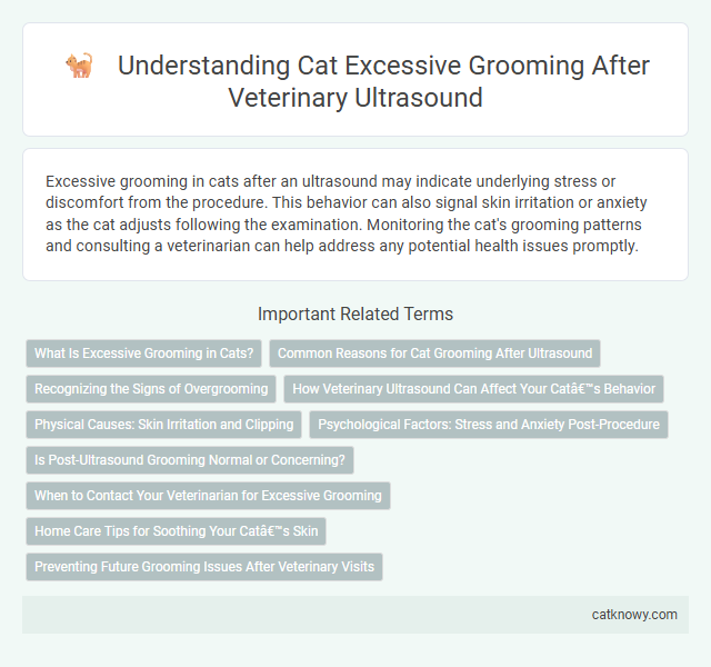 Understanding Cat Excessive Grooming After Veterinary Ultrasound