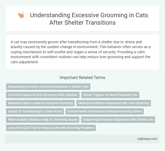 Understanding Excessive Grooming in Cats After Shelter Transitions