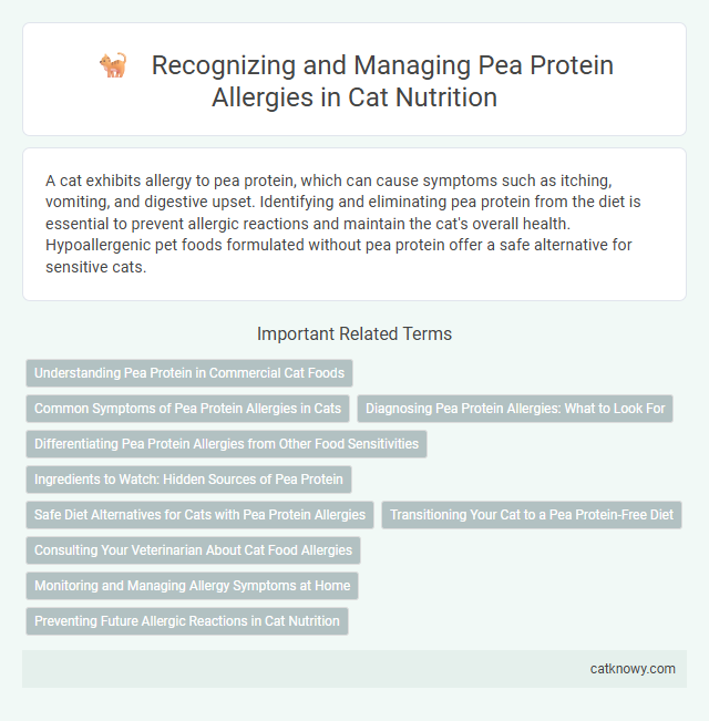 Recognizing and Managing Pea Protein Allergies in Cat Nutrition