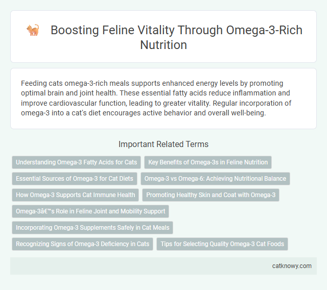 Boosting Feline Vitality Through Omega-3-Rich Nutrition