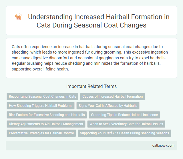 Understanding Increased Hairball Formation in Cats During Seasonal Coat Changes