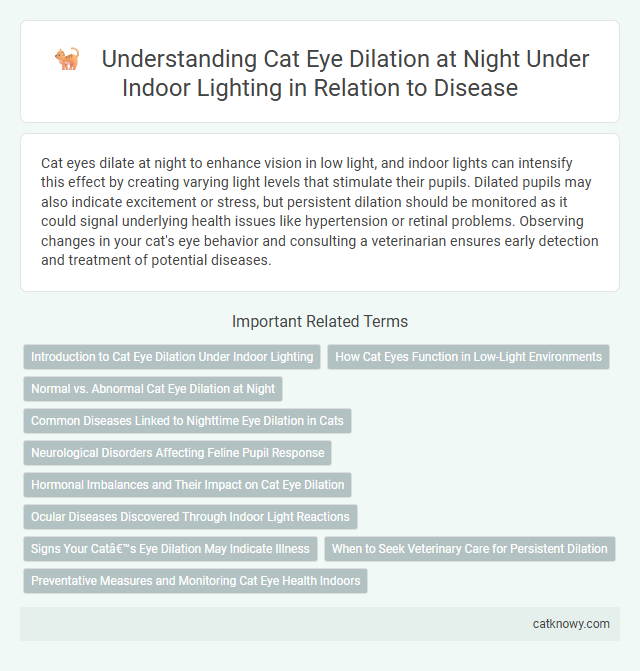 Understanding Cat Eye Dilation at Night Under Indoor Lighting in Relation to Disease