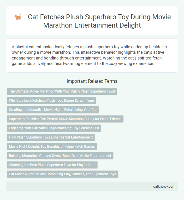 Cat Fetches Plush Superhero Toy During Movie Marathon Entertainment Delight