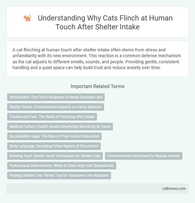 Understanding Why Cats Flinch at Human Touch After Shelter Intake