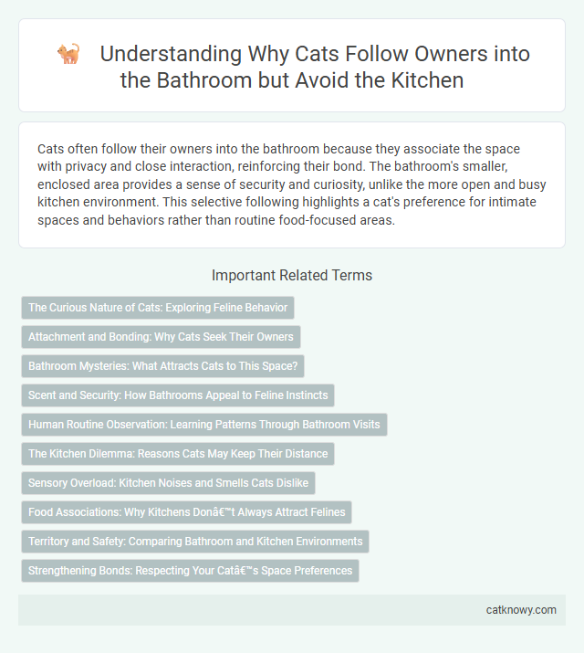 Understanding Why Cats Follow Owners into the Bathroom but Avoid the Kitchen