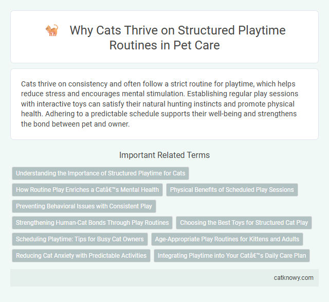 Why Cats Thrive on Structured Playtime Routines in Pet Care