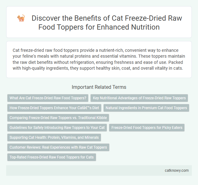Discover the Benefits of Cat Freeze-Dried Raw Food Toppers for Enhanced Nutrition