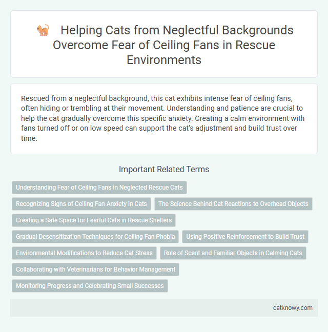 Helping Cats from Neglectful Backgrounds Overcome Fear of Ceiling Fans in Rescue Environments
