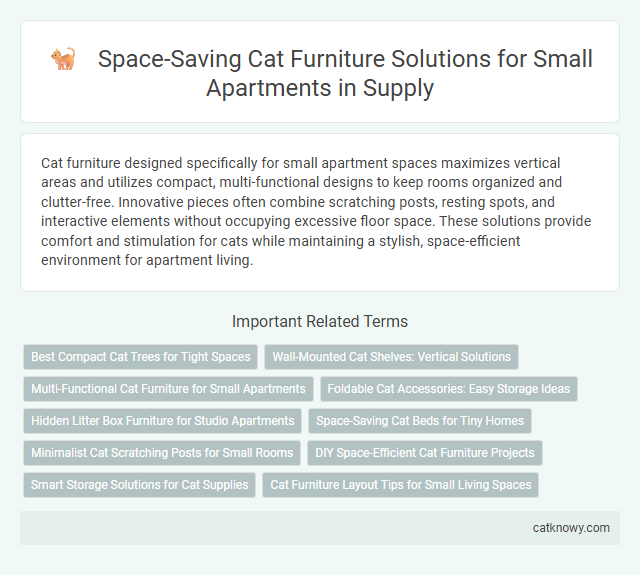 Space-Saving Cat Furniture Solutions for Small Apartments in Supply
