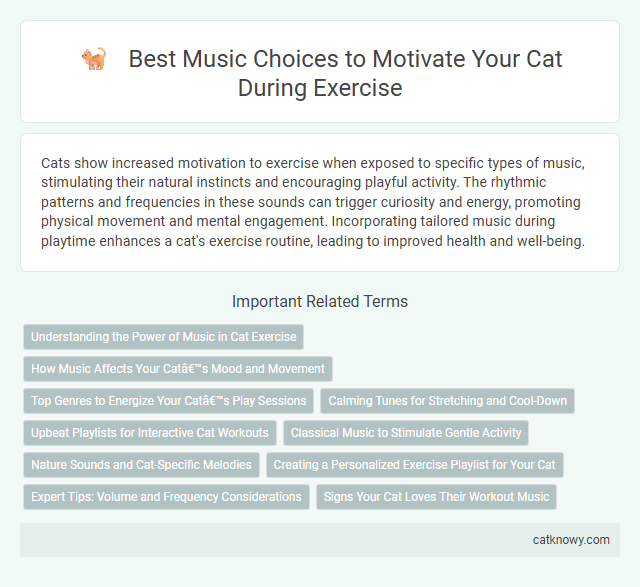 Best Music Choices to Motivate Your Cat During Exercise