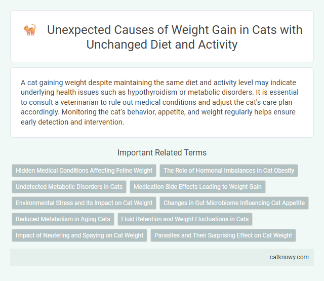 Unexpected Causes of Weight Gain in Cats with Unchanged Diet and Activity