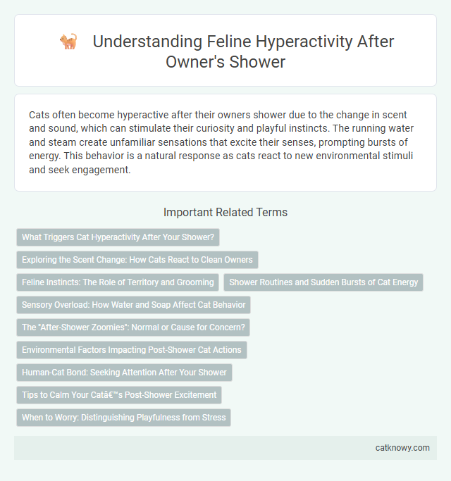 Understanding Feline Hyperactivity After Owner's Shower
