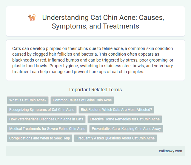 Understanding Cat Chin Acne: Causes, Symptoms, and Treatments