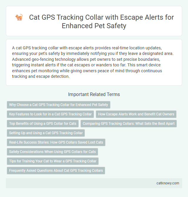 Cat GPS Tracking Collar with Escape Alerts for Enhanced Pet Safety