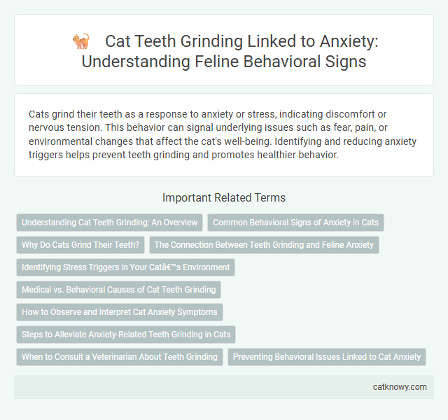 Cat Teeth Grinding Linked to Anxiety: Understanding Feline Behavioral Signs