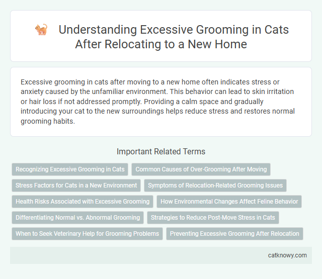 Understanding Excessive Grooming in Cats After Relocating to a New Home