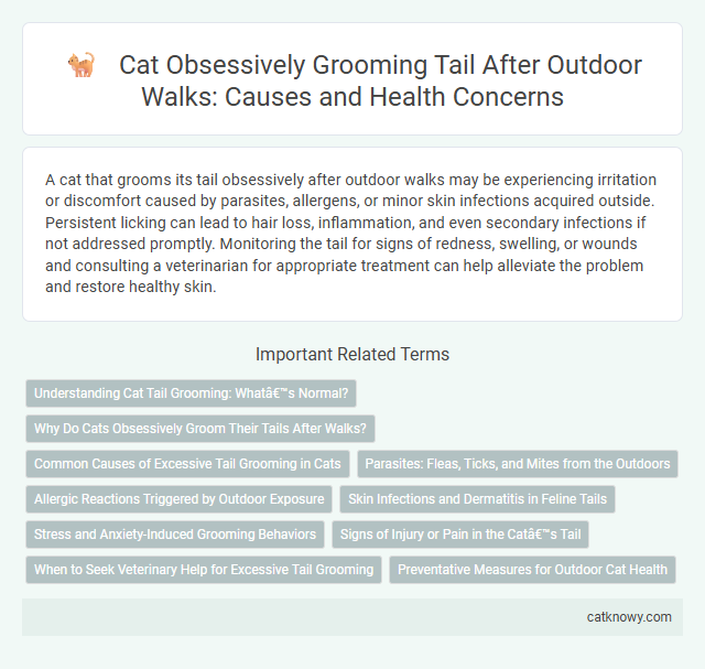 Cat Obsessively Grooming Tail After Outdoor Walks: Causes and Health Concerns