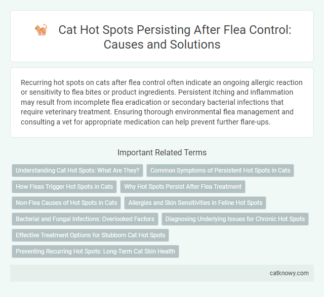 Cat Hot Spots Persisting After Flea Control: Causes and Solutions