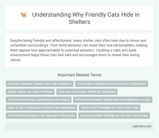 Understanding Why Friendly Cats Hide in Shelters