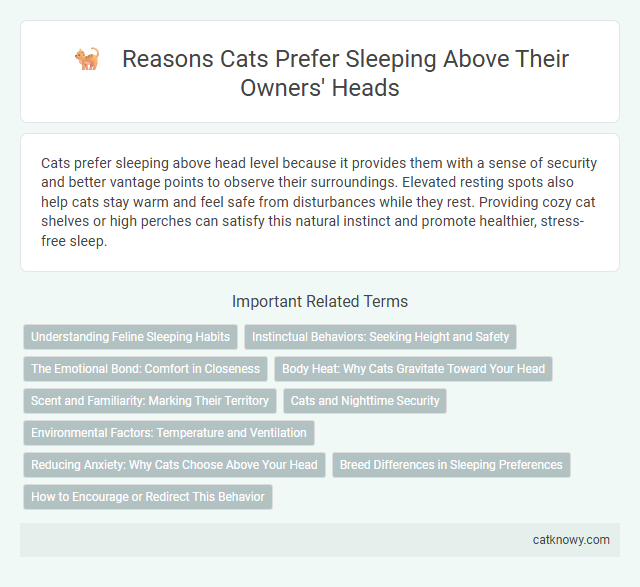 Reasons Cats Prefer Sleeping Above Their Owners' Heads