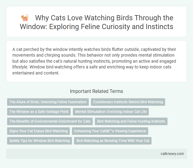 Why Cats Love Watching Birds Through the Window: Exploring Feline Curiosity and Instincts