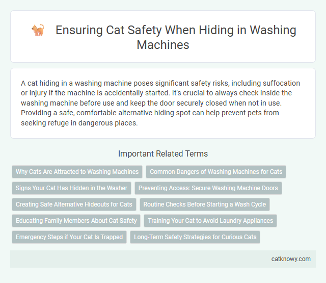 Ensuring Cat Safety When Hiding in Washing Machines