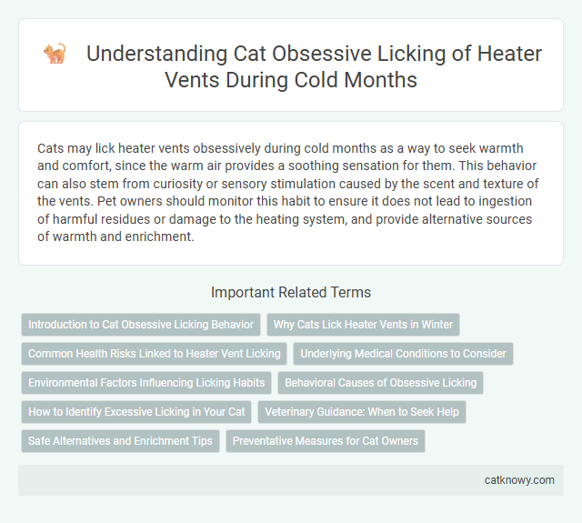 Understanding Cat Obsessive Licking of Heater Vents During Cold Months