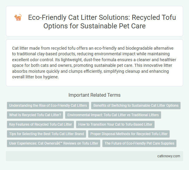 Eco-Friendly Cat Litter Solutions: Recycled Tofu Options for Sustainable Pet Care