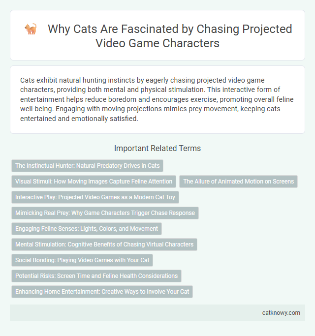Why Cats Are Fascinated by Chasing Projected Video Game Characters