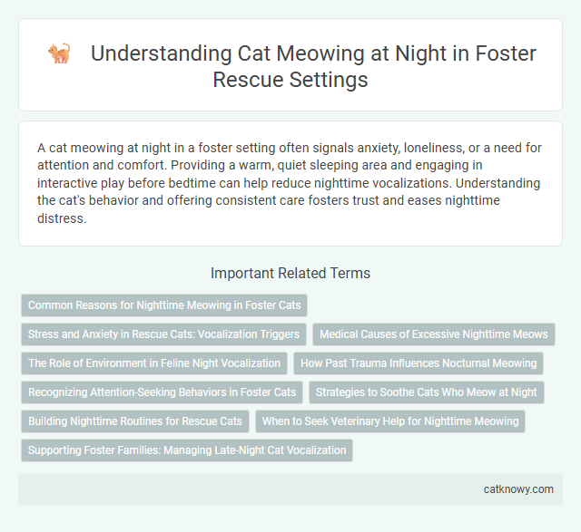 Understanding Cat Meowing at Night in Foster Rescue Settings