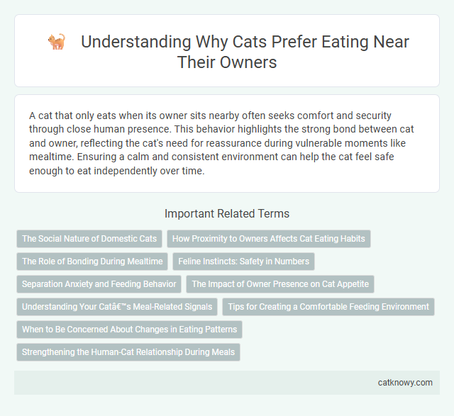 Understanding Why Cats Prefer Eating Near Their Owners