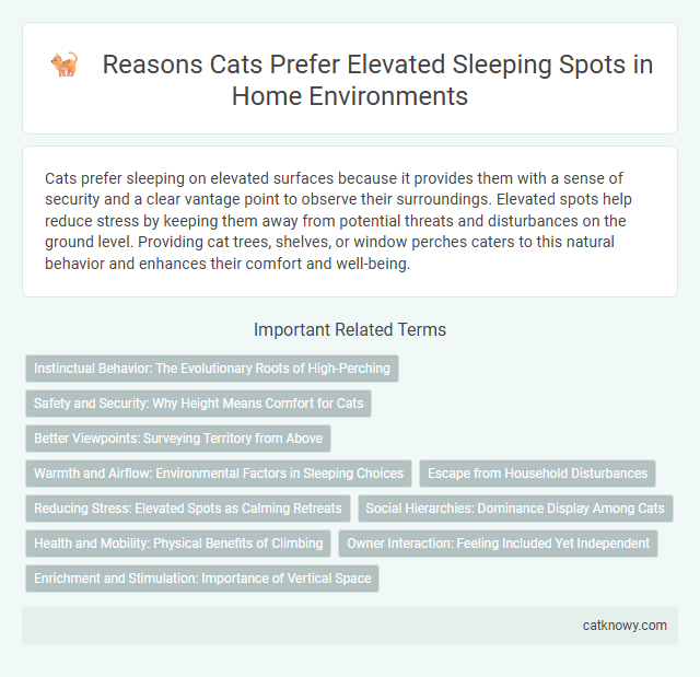 Reasons Cats Prefer Elevated Sleeping Spots in Home Environments
