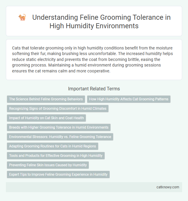 Understanding Feline Grooming Tolerance in High Humidity Environments
