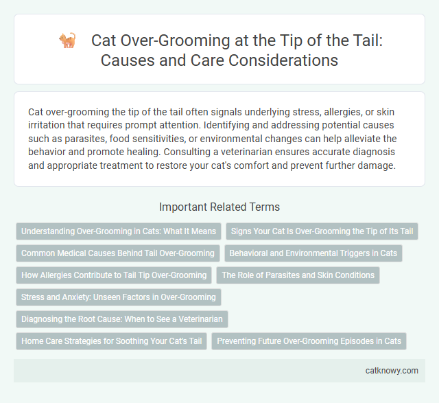Cat Over-Grooming at the Tip of the Tail: Causes and Care Considerations