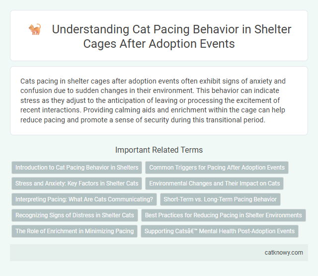 Understanding Cat Pacing Behavior in Shelter Cages After Adoption Events