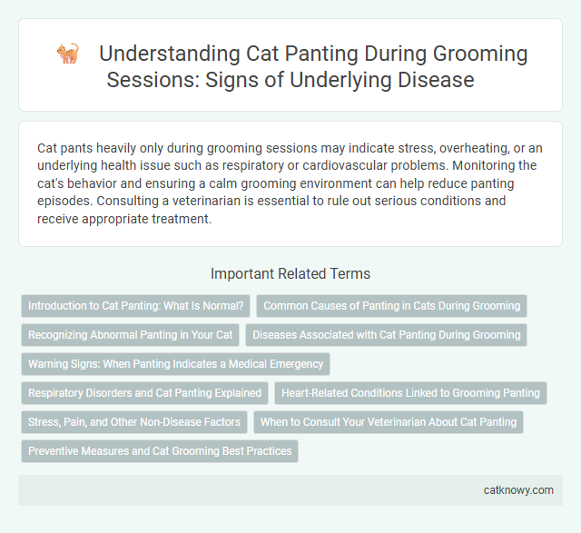 Understanding Cat Panting During Grooming Sessions: Signs of Underlying Disease