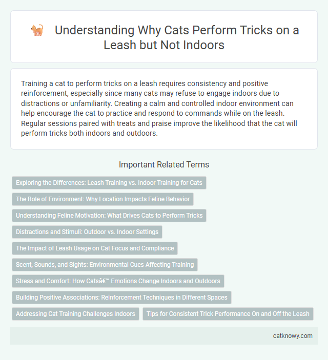 Understanding Why Cats Perform Tricks on a Leash but Not Indoors