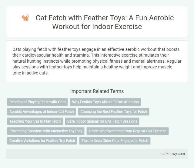 Cat Fetch with Feather Toys: A Fun Aerobic Workout for Indoor Exercise