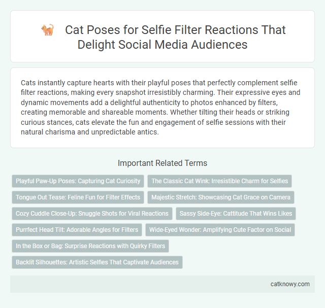 Cat Poses for Selfie Filter Reactions That Delight Social Media Audiences
