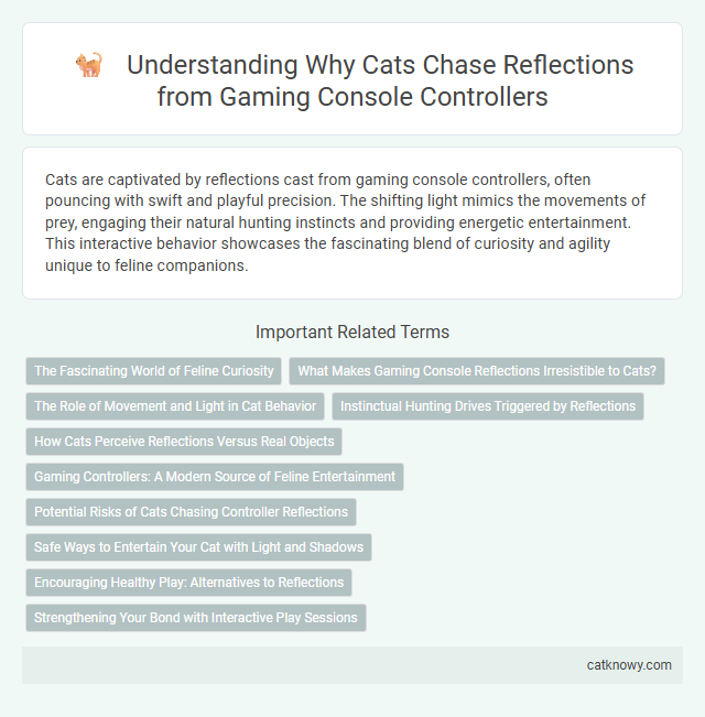 Understanding Why Cats Chase Reflections from Gaming Console Controllers